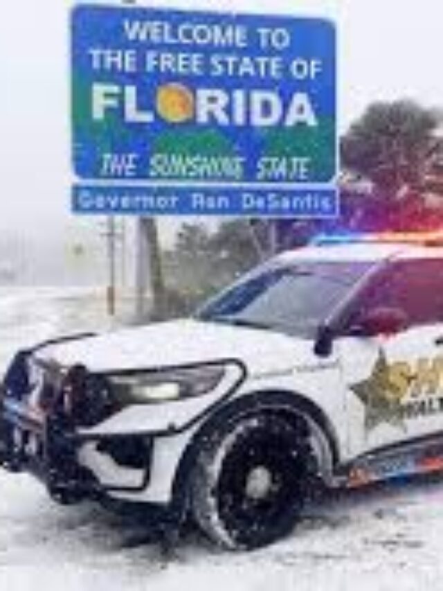 https://ziddidil.info/floridas-historic-snowstorm-unprecedented-weather-event-in-the-sunshine-state/#more-1195